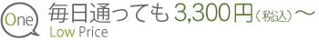 1.毎日通っても3,300円（税込）～