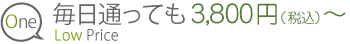 1.毎日通っても3,800円（税込）～